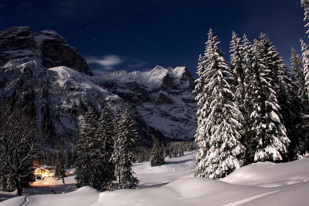 Chalet-Hotel Schwarzwaldalp 迈林根 外观 照片